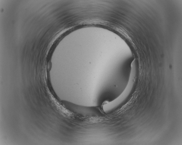 X0000068270984200605191823