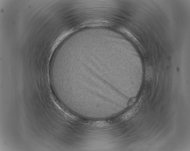 X0000068270986200605191823