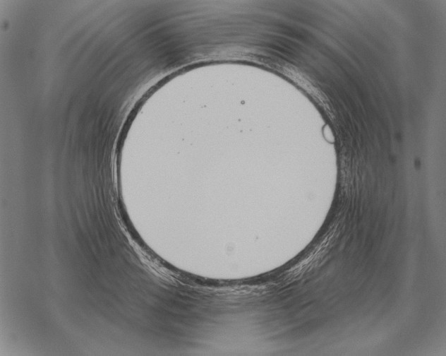 X0000068270988200605191823