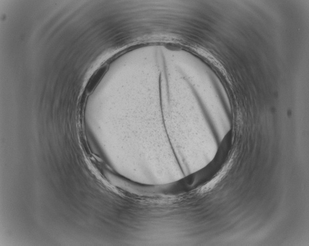 X0000068270989200605191823