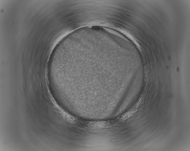 X0000068270991200605191823