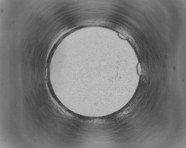 X0000068270992200605191823