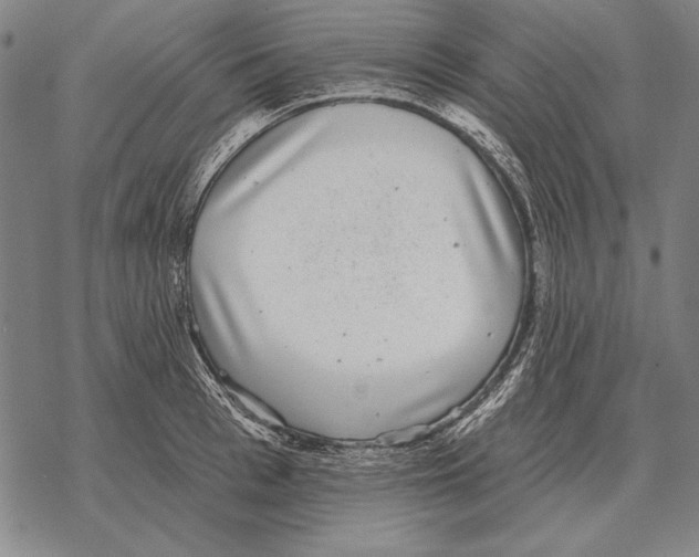 X0000068270993200605191823