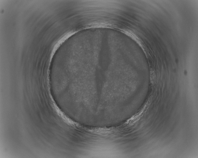 X0000068270995200605191823