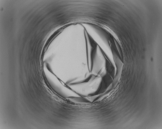 X0000068270996200605191823