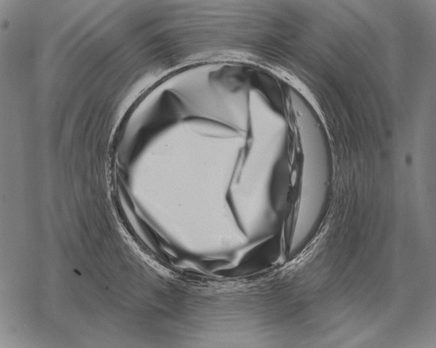 X0000068270997200605191823