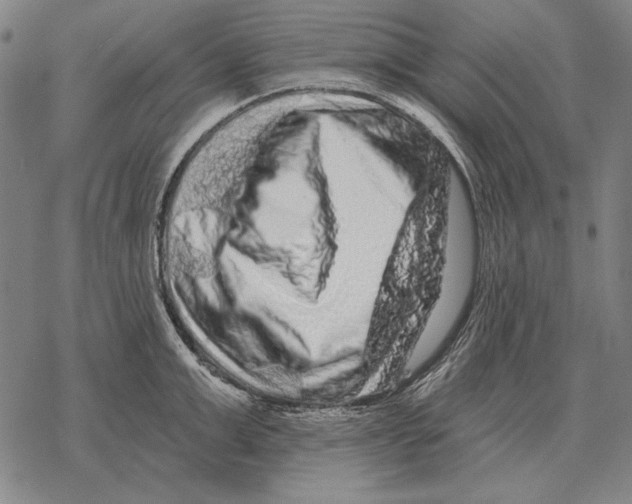 X0000068270999200605191823