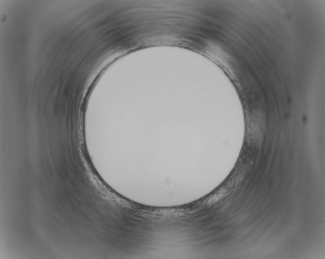 X0000068271000200605191823