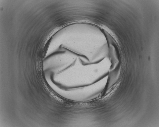 X0000068271001200605191823