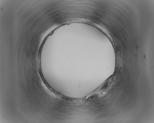 X0000068271003200605191823