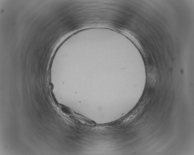 X0000068271004200605191823