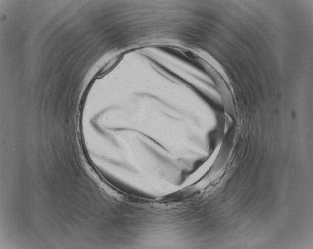 X0000068271005200605191823