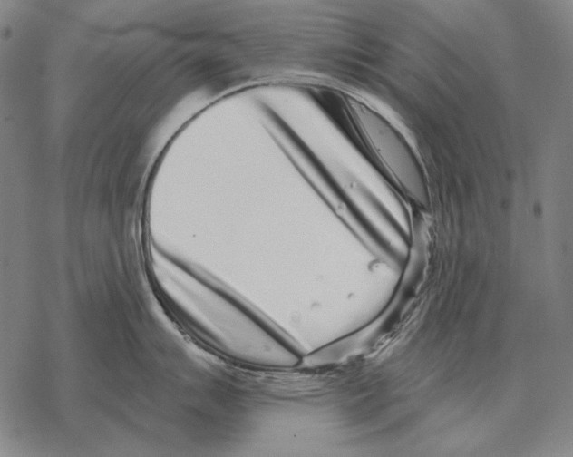 X0000068271007200605191823