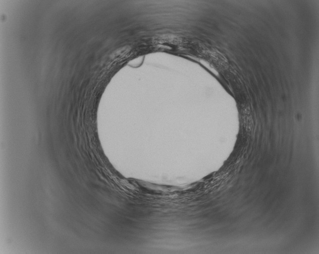 X0000068271009200605191822