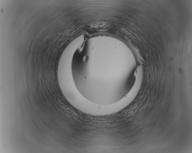 X0000068271010200605191822