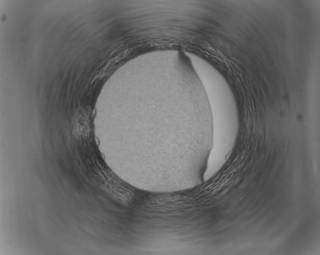 X0000068271012200605191822