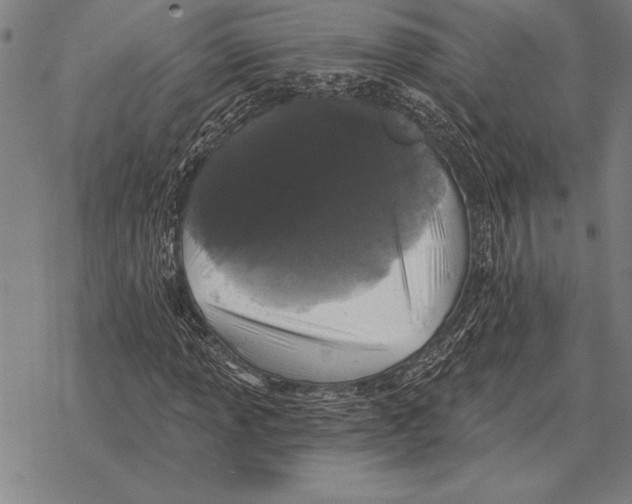 X0000068271013200605191822