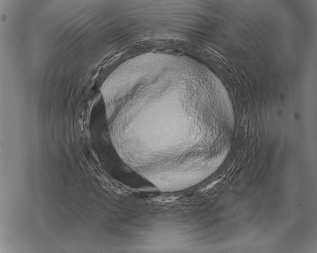 X0000068271014200605191822