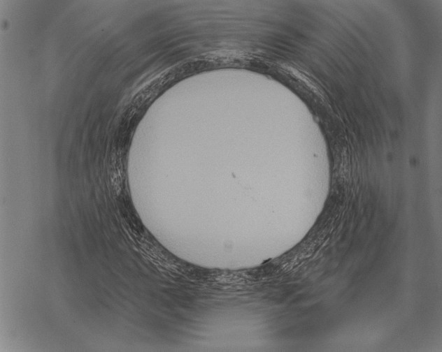 X0000068271015200605191822