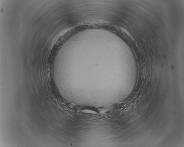 X0000068271016200605191822