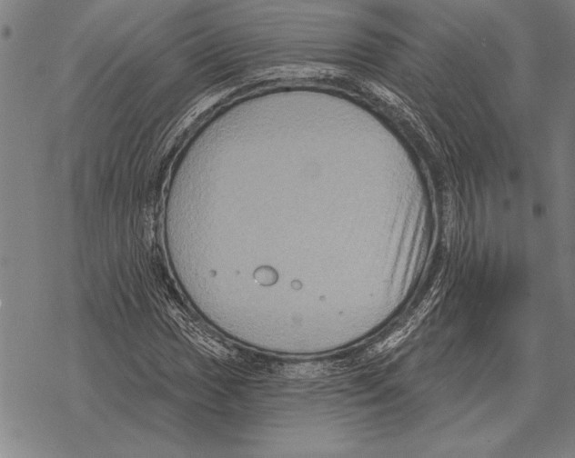 X0000068271017200605191822