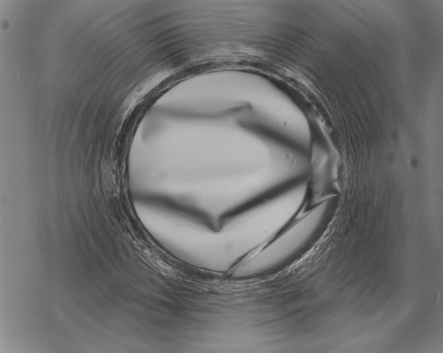 X0000068271018200605191822