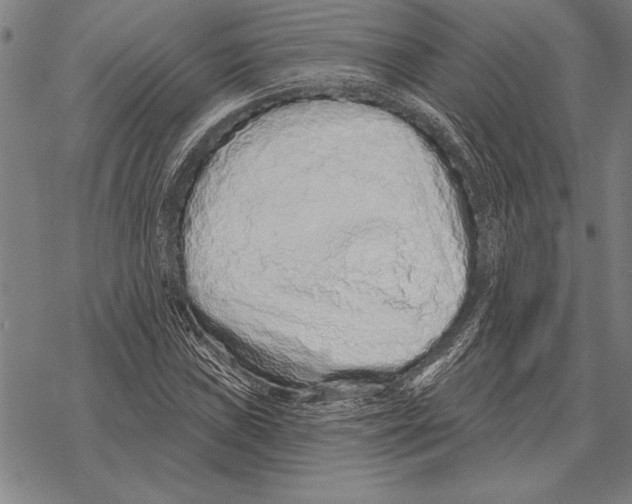 X0000068271019200605191822