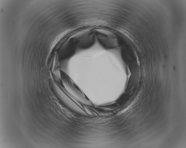 X0000068271022200605191822