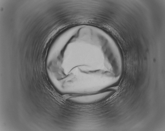 X0000068271023200605191822