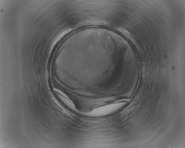 X0000068271024200605191822