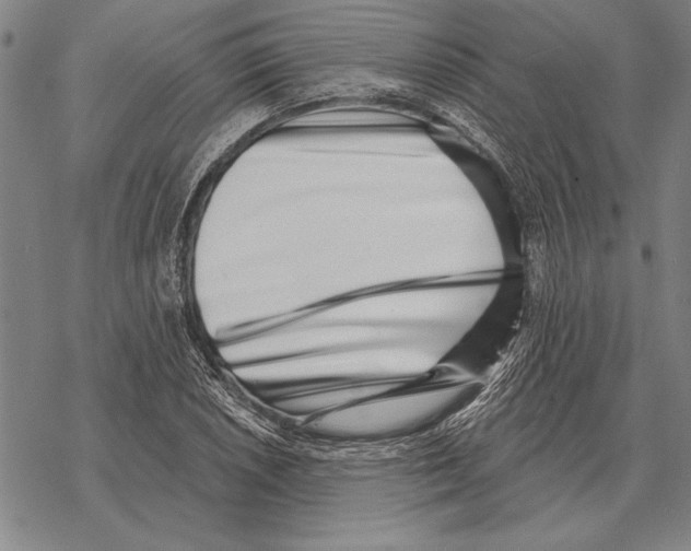 X0000068271026200605191823