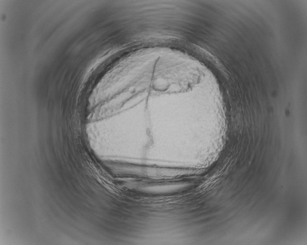 X0000068271027200605191823