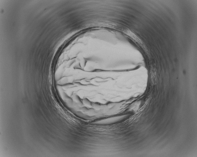 X0000068271028200605191823