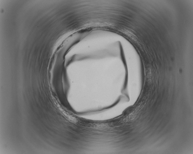 X0000068271030200605191823