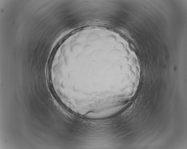 X0000068271032200605191823