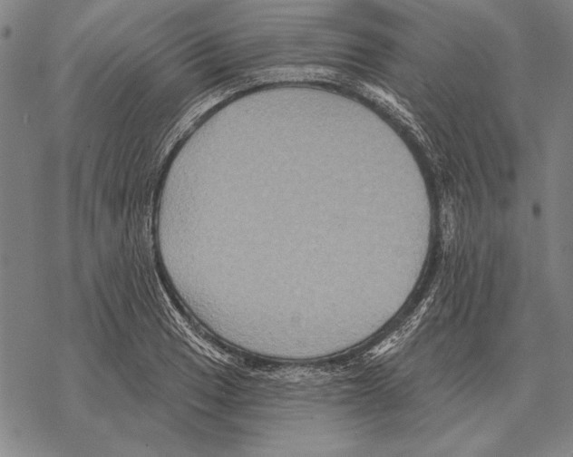 X0000068271033200605191823