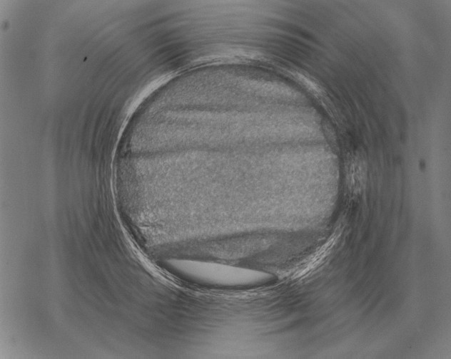 X0000068271034200605191823