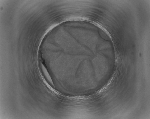 X0000068271037200605191823