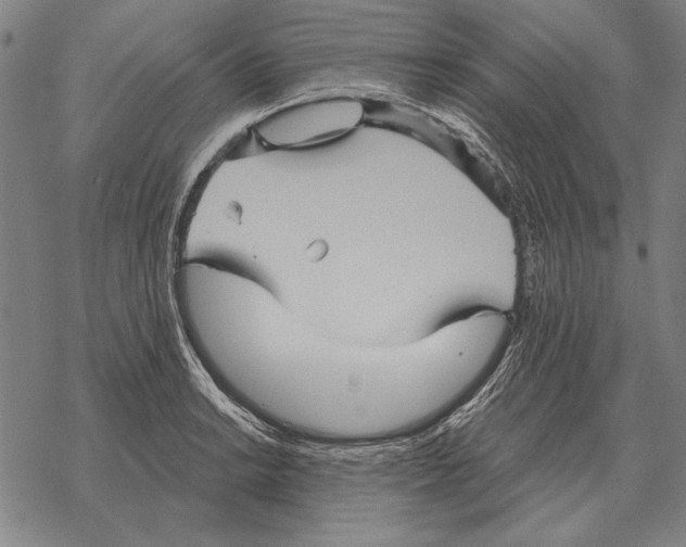 X0000068271038200605191823