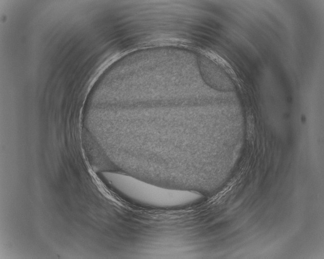 X0000068271039200605191823