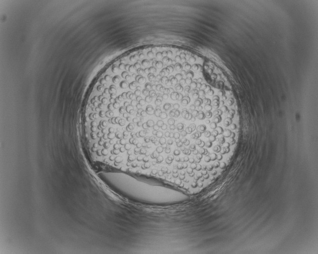 X0000068271040200605191823