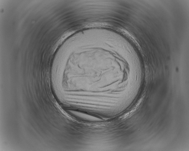 X0000068271041200605191823