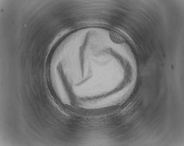 X0000068271043200605191823