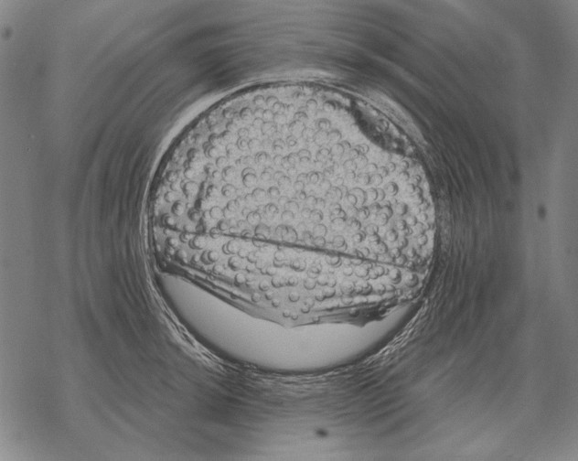 X0000068271044200605191823