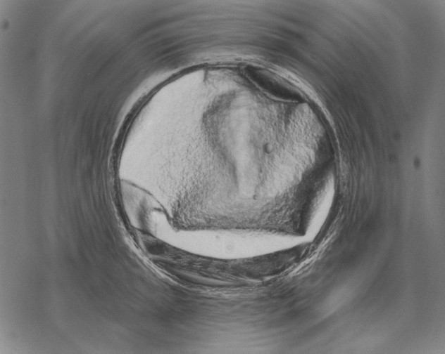 X0000068271045200605191823