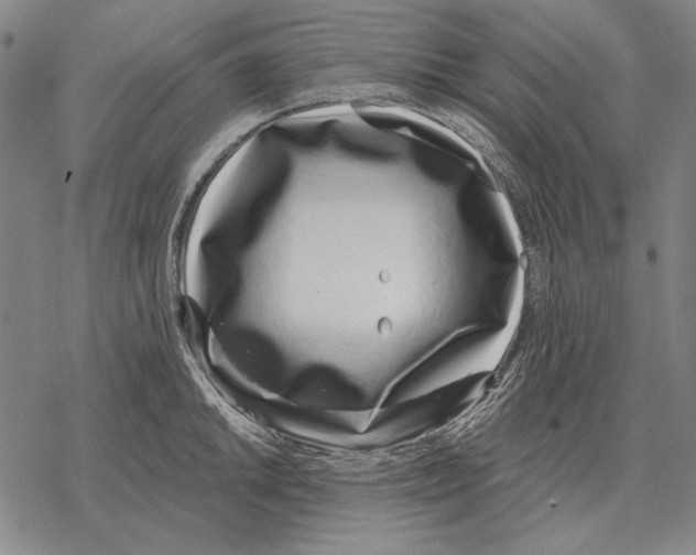 X0000068271046200605191823