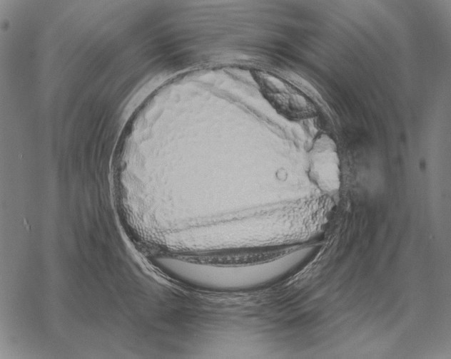 X0000068271047200605191823