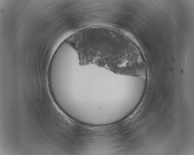 X0000068271048200605191823