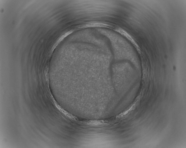 X0000068271049200605191823