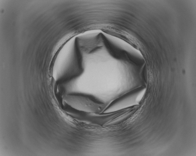 X0000068271050200605191823